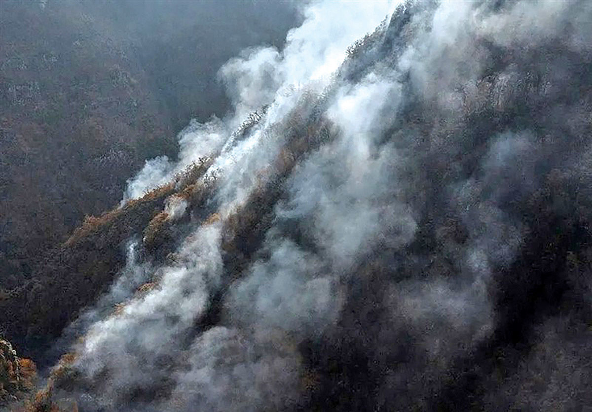 هیزم نامرئی در پرونده «الیت»