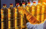  واردات روغن با ارز دولتی، مانع خودکفایی