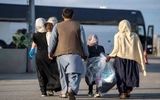 تداوم اخراج مهاجران غیرمجاز افغان از ایران/  ۷۱۰ نفر از این شهر جمع آوری شدند