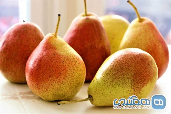  19 ماده غذایی که بطور عجیبی شما را لاغر می‌کنند 