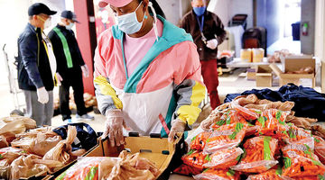 امنیت غذایی؛ مرور یک تجربه  