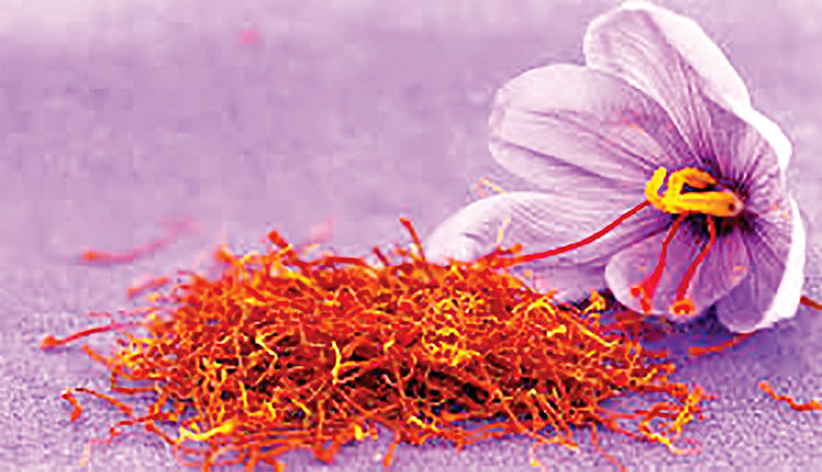 نوسان قیمت زعفران به‌دلیل خشکسالی