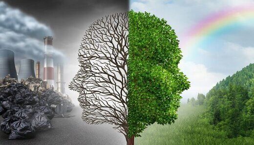 شناسایی یک درمان جدید برای فشار خون و اضطراب
