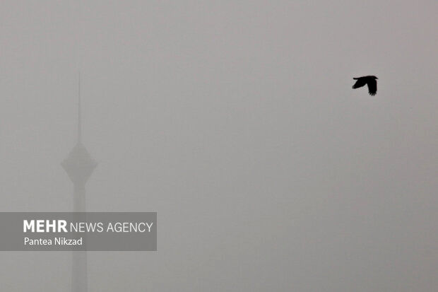 هوای تهران در وضعیت خطرناک قرار گرفت