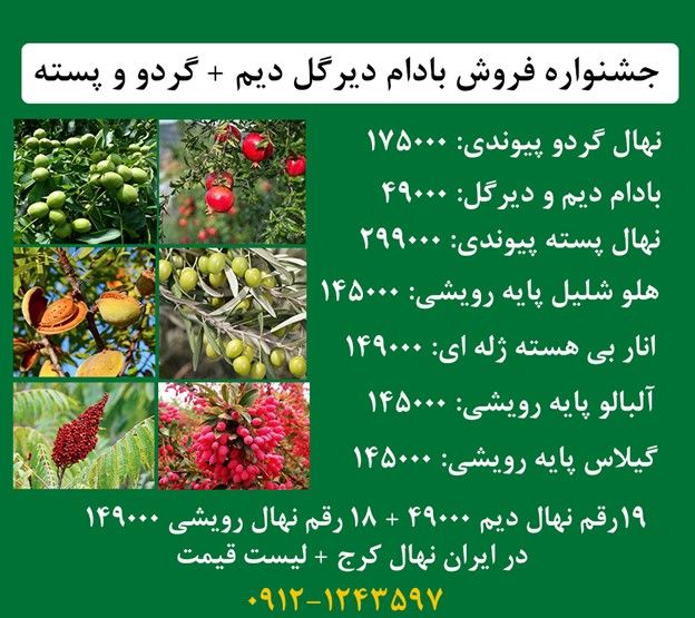 جشنواره عرضه بادام دیرگل دیم + گردو پیوندی و انواع میوه رویشی بارکددار + ارسال یکروزه به سراسر ایران