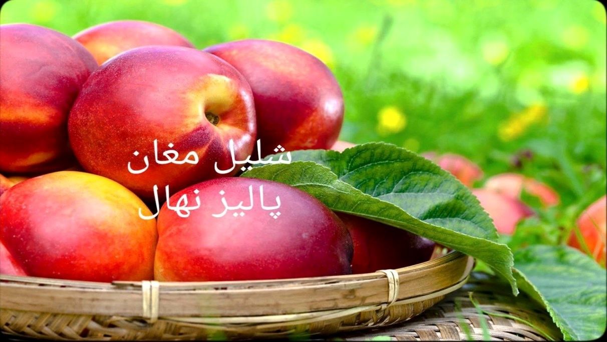 این میوه قرمز رنگ تابستانی، قاتل یبوست است