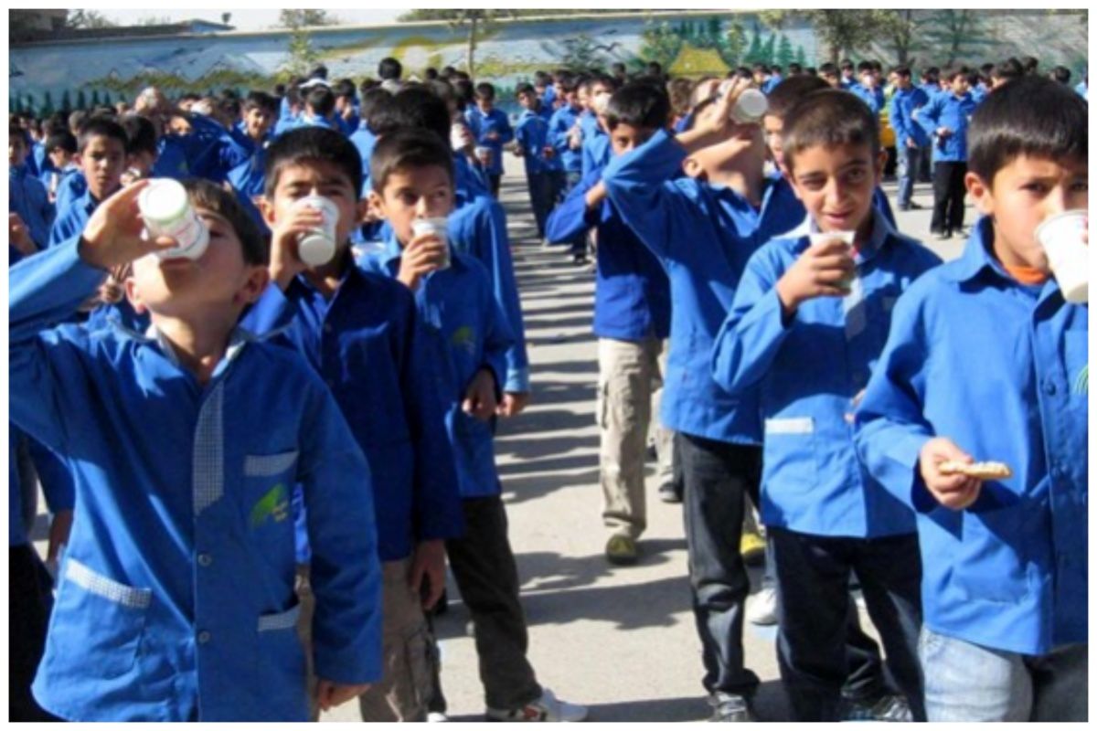 توزیع شیر در 62 هزار مدرسه کشور/ چند دانش‌آموز تحت پوشش قرار گرفتند؟