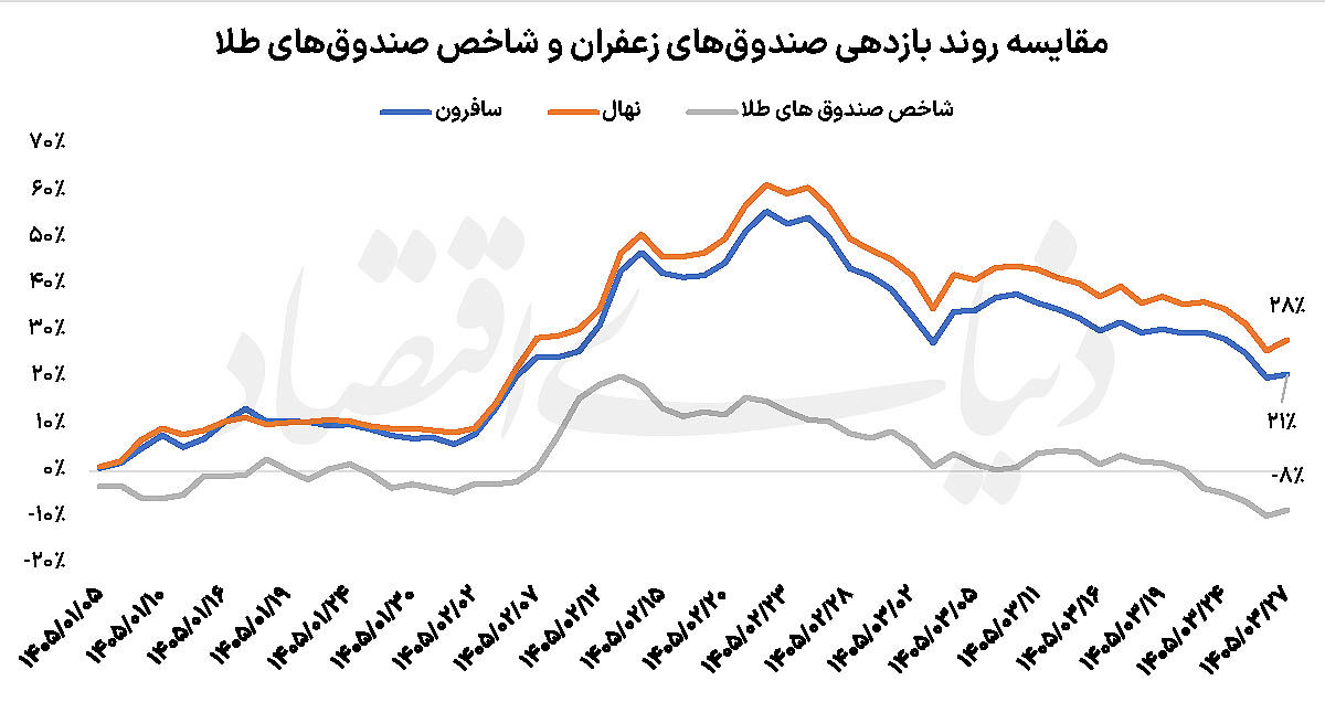 طلای سرخ برنده شد