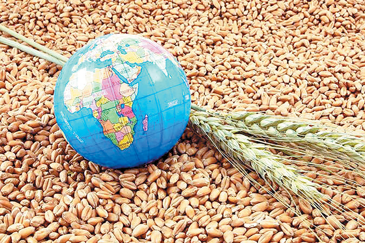 وضعیت امنیت غذایی جهان هنوز نگران‌کننده