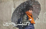 اکران آنلاین «لاک‌پشت و حلزون» 