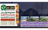 جشنواره درختکاری خرید نهال گردو فقط با 38 هزار و میوه 33 هزار