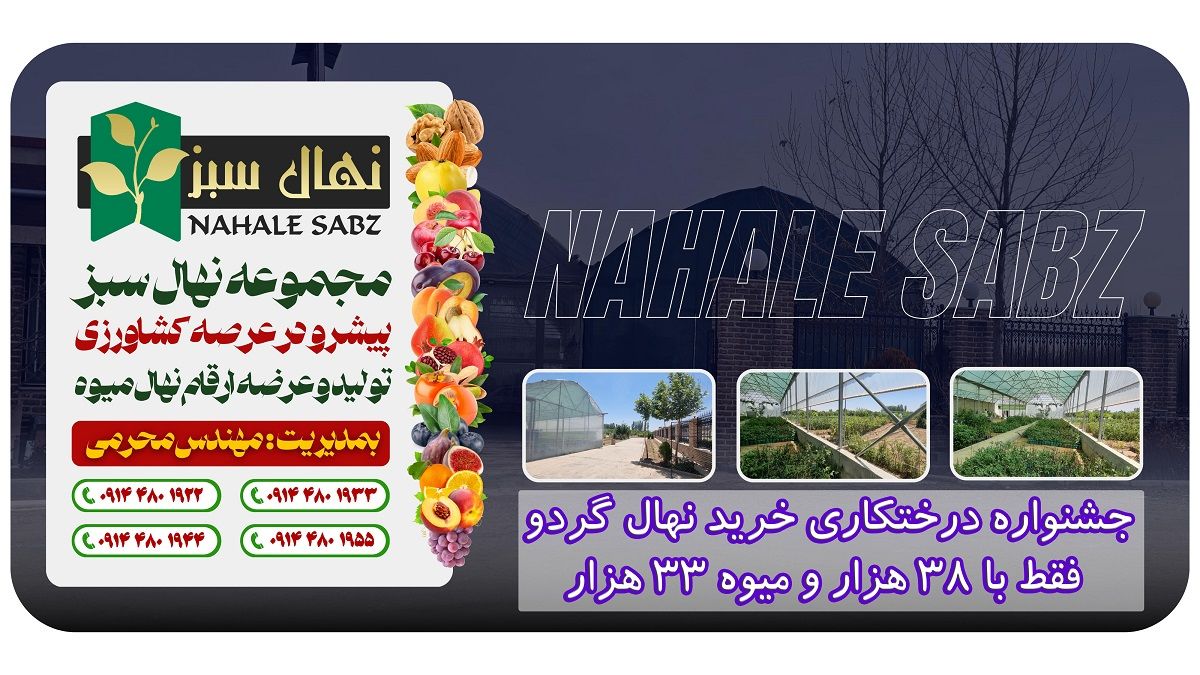 جشنواره درختکاری خرید نهال گردو فقط با 38 هزار و میوه 33 هزار