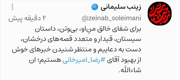 واکنش زینب سلیمانی به سقوط «رضا امیرخانی» نویسنده از پاراگلایدر 2