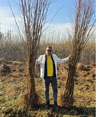 شوک به بازار باغداری؛ عرضه نهال هایی که نیاز به سمپاشی ندارند!