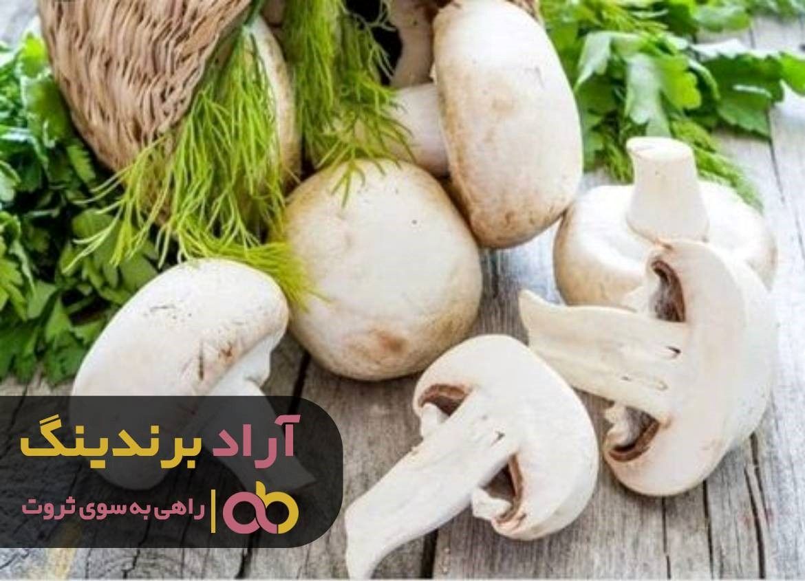 چرا قارچ خوراکی کوهی را نباید مصرف کنیم؟