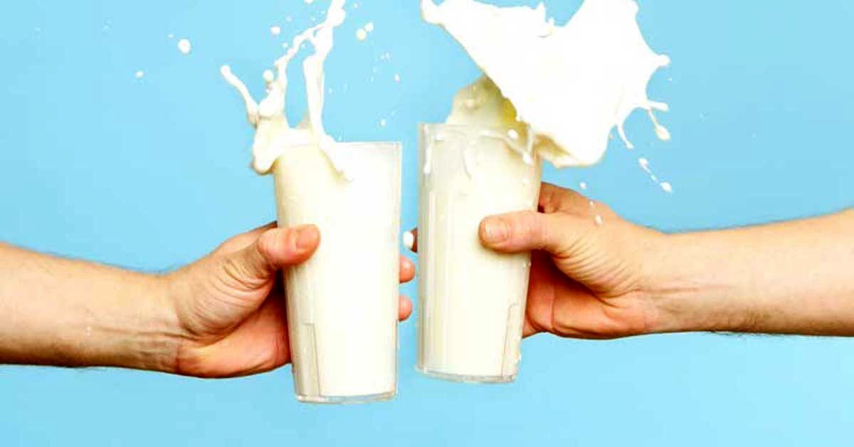 عوارض باورنکردنی مصرف زیاد شیر برای سلامتی