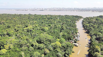 پشت صحنه انقلاب سبز «بلم»