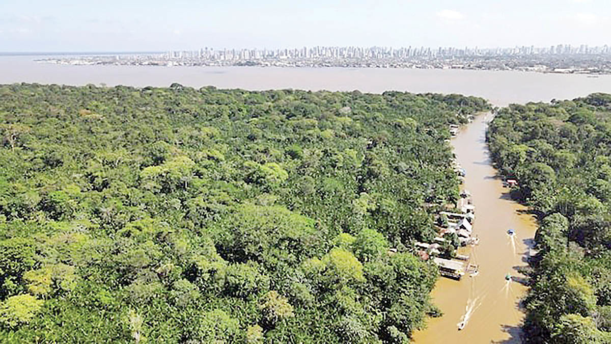 پشت صحنه انقلاب سبز «بلم»