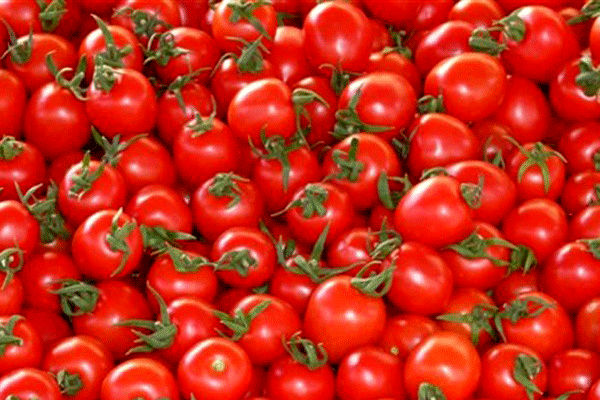 خواص جالب گوجه برای سلامتی قلب 