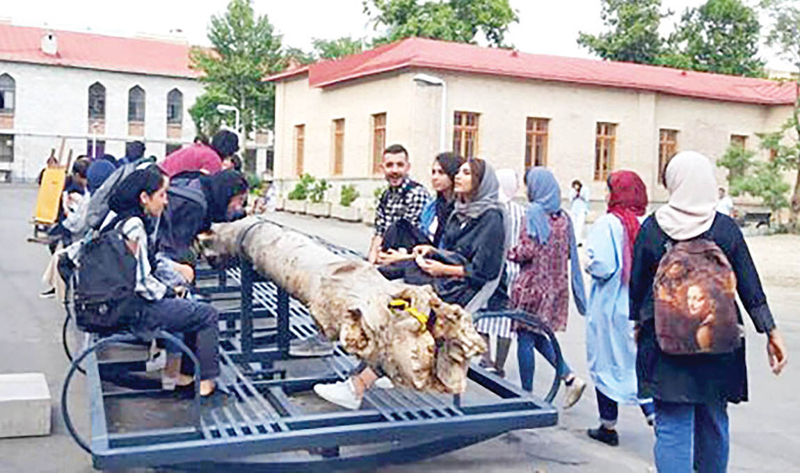 رونمایی از یک گهواره هنری برای دانشجویان