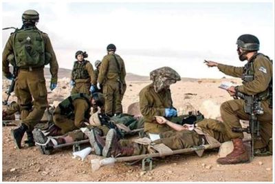حمله تعداد زیادی زنبور سربازان اسرائیل را راهی بیمارستان کرد