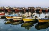 مدیریت مشارکتی صیادی