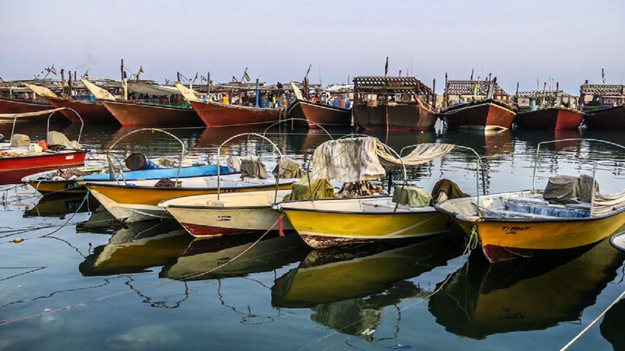 مدیریت مشارکتی صیادی