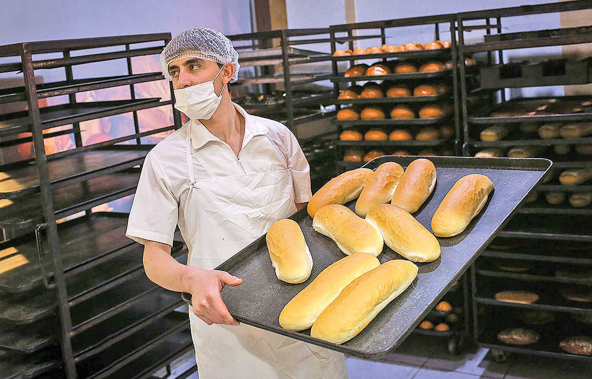 ستون شکننده صنف نان صنعتی 