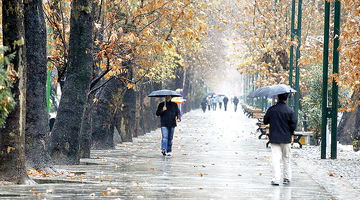 بی‌آبی زیر باران