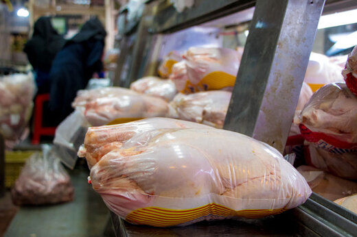 قیمت هر کیلو گوشت مرغ در میادین تره بار 