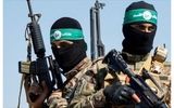 با طرح صلح ترامپ برای غزه موافقت شد؟/حماس رسما بیانیه داد 