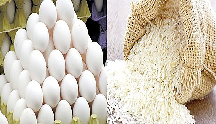 وضعیت بازار تخم مرغ و برنج 