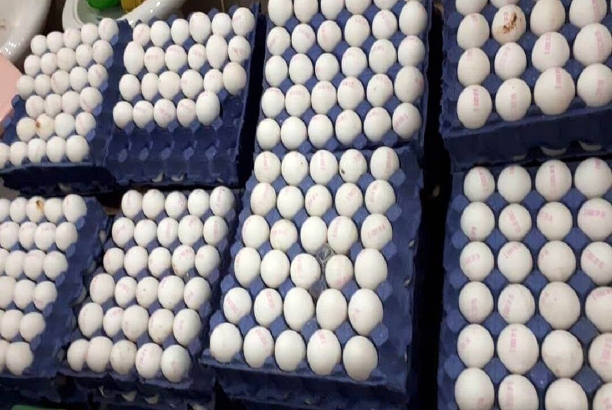 تازه‌ترین  قیمت تخم مرغ در بازار/ هر شانه چند؟