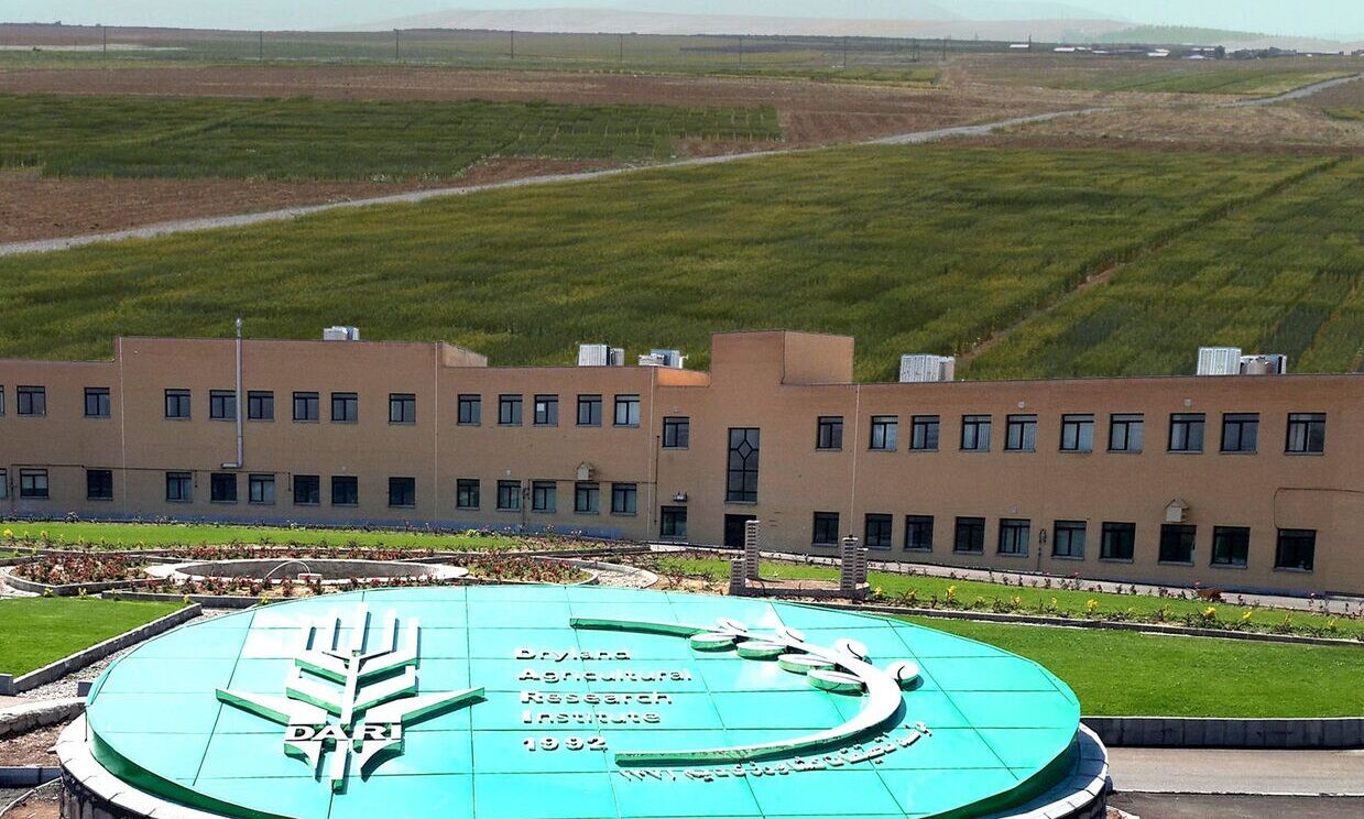 اجرای 134 طرح پژوهشی توسط موسسه تحقیقات کشاورزی دیم