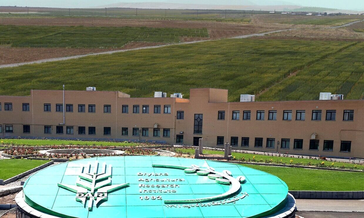 اجرای ۱۳۴ طرح پژوهشی توسط موسسه تحقیقات کشاورزی دیم