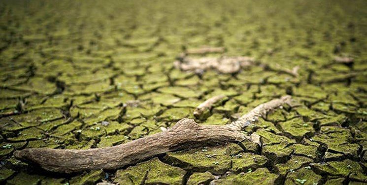 احتمال اعلام خشکسالی از سوی انگلیس تا یک ماه دیگر