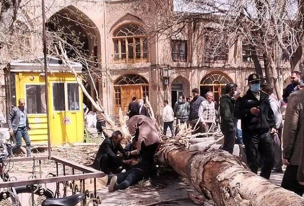 سقوط یک درخت روی شهروند تبریزی