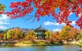 تور چین و کره جنوبی؛ ترکیب برنده برای سفر به دل آسیا