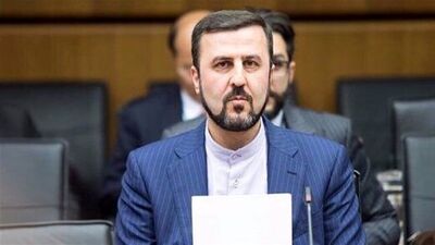 انتقاد غریب‌آبادی از برخورد خشونت‌آمیز پلیس فرانسه با معترضان