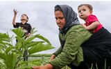 خبر مهم برای روستائیان/ وام جدید تصویب شد