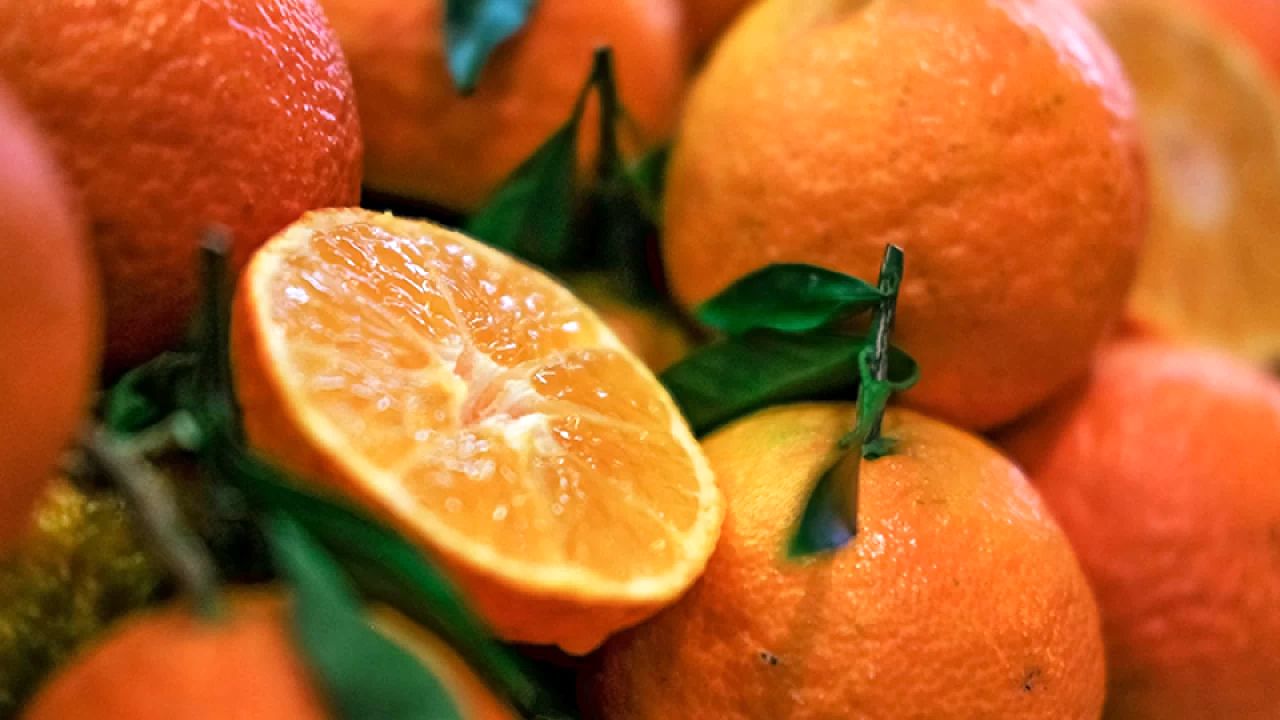 این میوه ترش نارنجی را همیشه در سفره جای بدهید