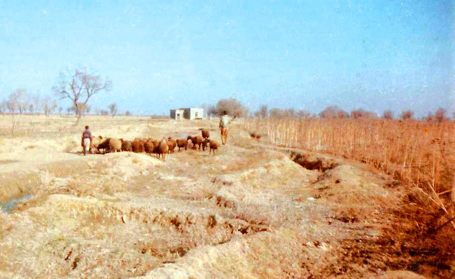 نقش اقطاع در دوره سلجوقیان