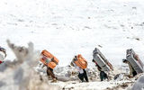 بار تجارت بر دوش کولبران
