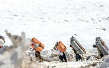 بار تجارت بر دوش کولبران
