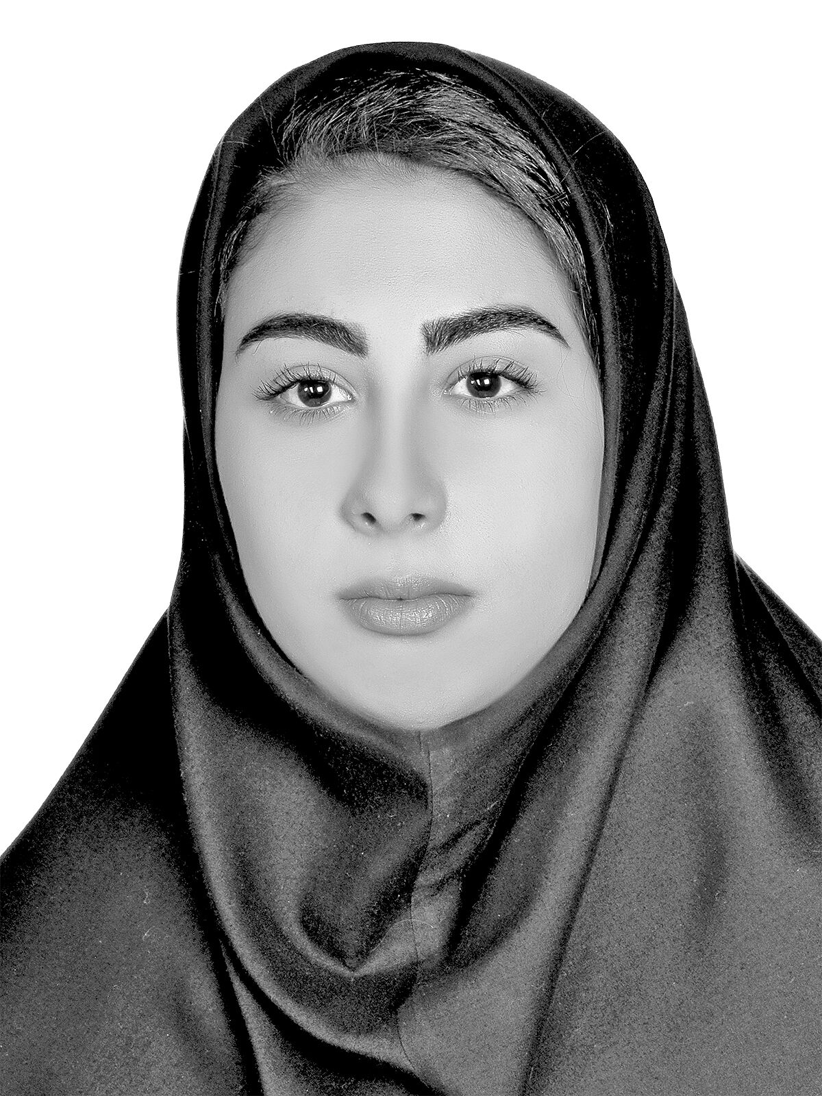 مروری بر پیشینه تحلیل داده‏‏‌-ستانده 