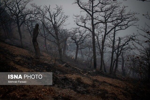 آتش سوزی جنگل های الیت مهار شد