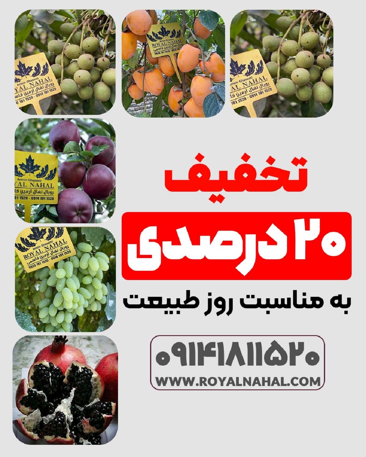 فروش نهال لیبل دار با 20 درصد تخفیف به مناسبت روز طبیعت