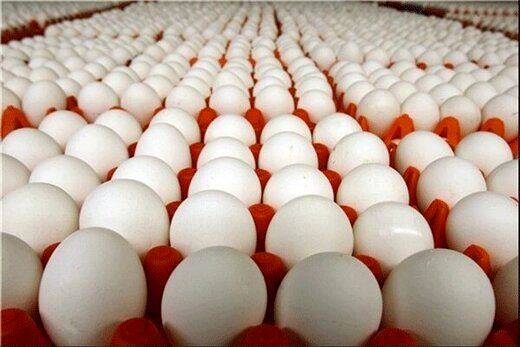 آخرین تخم مرغ در بازار