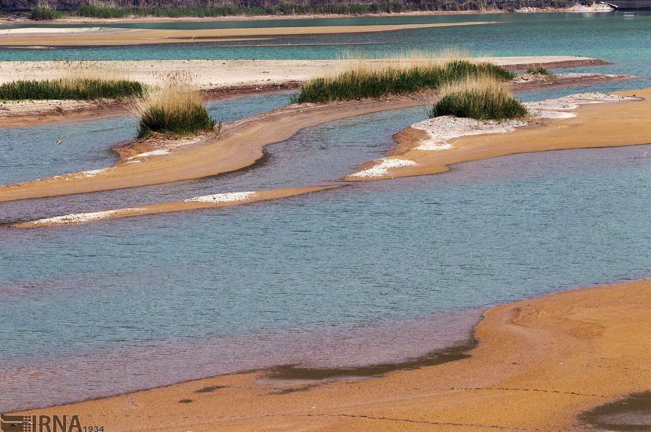 وزارت کشاورزی: امنیت غذایی کشور در معرض تهدید است