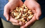 با مصرف آجیل به جنگ این بیماری بروید